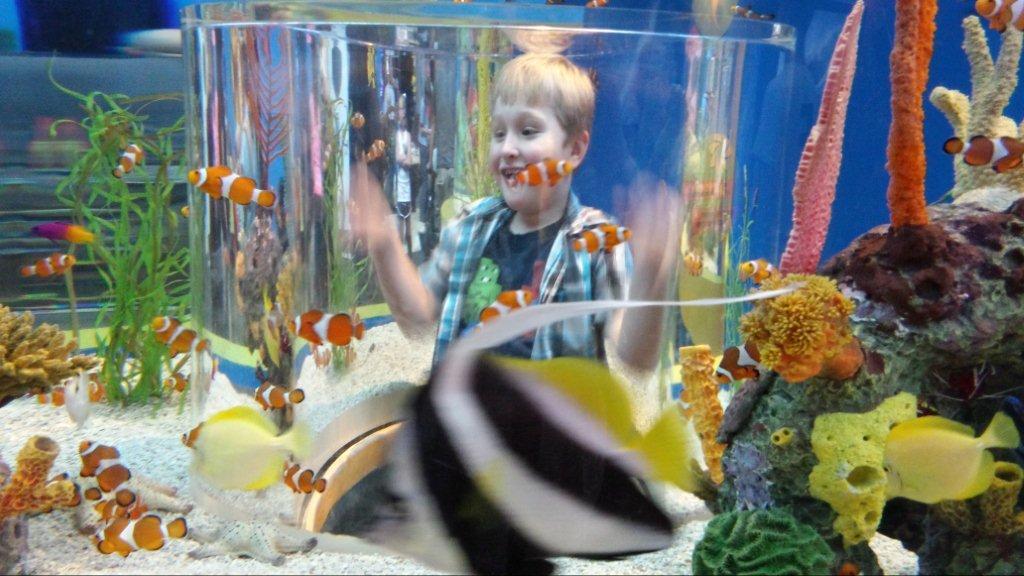 Jacob at Gatlinburg Aquarium Icenhower.jpg